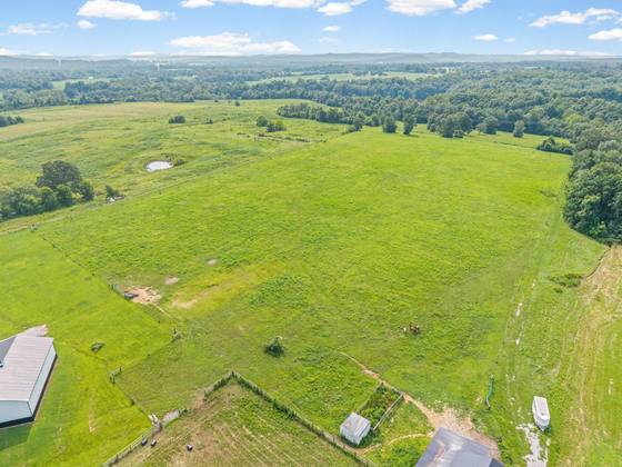 Looking back across the acreage toward the tree line