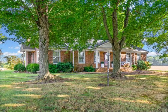 The front of the house through the maples, 5525 Glass Lane