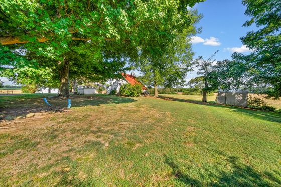 Side yard under the shade trees, 5525 Glass Lane
